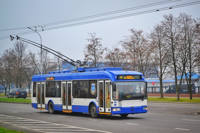 Jakościowe warunki podróży - przewóz osób z Polski do Holandii!